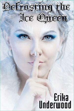 Cover of the book Defrosting the Ice Queen by Maurice Leblanc