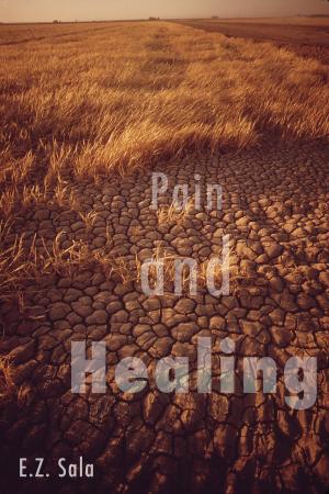 Cover of the book Pain and Healing by William Hopper