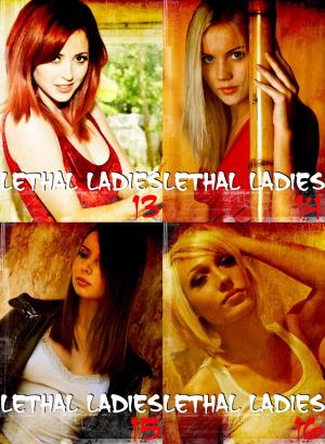 Book cover of Lethal Ladies Collected Edition 4 - A sexy photo book - Volumes 13-16