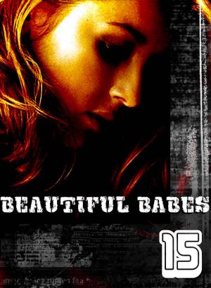 Cover of Beautiful Babes - A sexy photo book - Volume 15