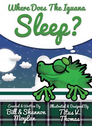 Cover of Where Does The Iguana Sleep? (Bedtime Story Book),1st Ed., 2015 Ages 4-8 English
