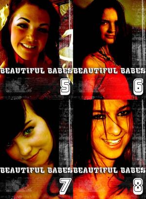Cover of Beautiful Babes Collected Edition 2- 4 sexy photo books in one