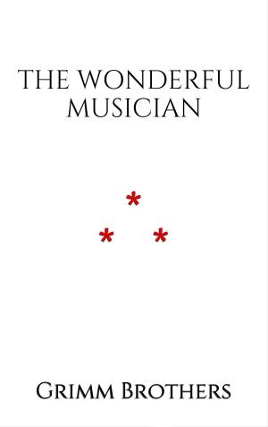 Cover of the book The Wonderful Musician by Philippe De Laon