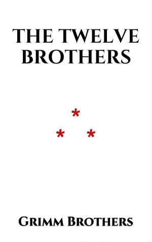 Cover of the book The Twelve Brothers by AMÉDÉE ACHARD