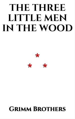 Book cover of The Three Little Men in the Wood