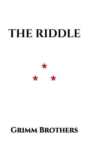 Cover of the book The Riddle by Camille Flammarion