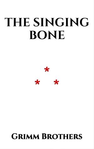 Book cover of The Singing Bone