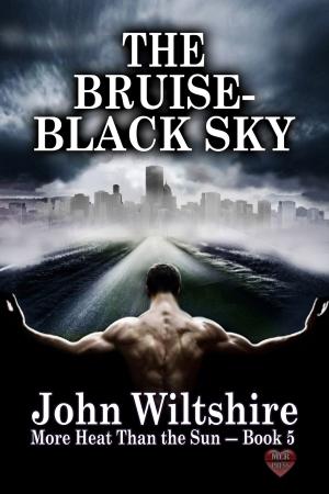 Cover of the book The Bruise-Black Sky by N.J. Nielsen