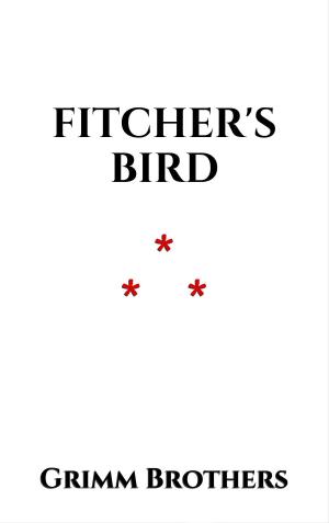Cover of the book Fitcher's Bird by Chrétien de Troyes