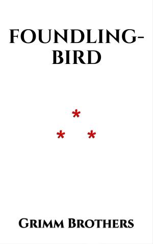 Cover of the book Foundling-Bird by Chrétien de Troyes