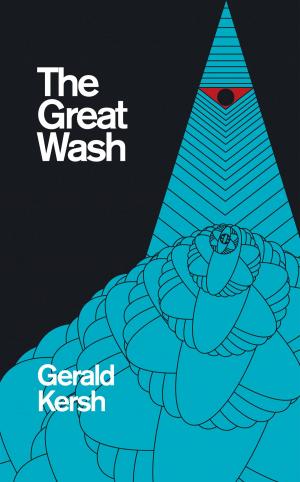 Cover of the book The Great Wash by Michael Bauer, Carina Bauer