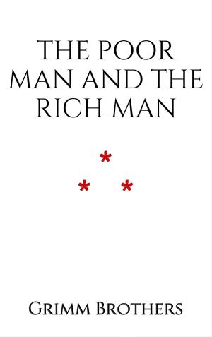 Cover of the book The Poor Man and the Rich Man by Ron Guerra