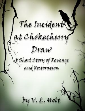 bigCover of the book The Incident at Chokecherry Draw by 