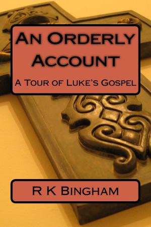 Cover of the book An Orderly Account by The Catholic Digital News
