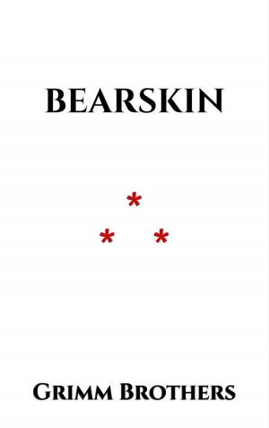 Cover of the book Bearskin by Robert Fludd