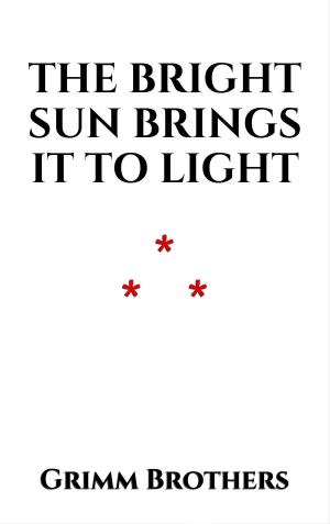 Book cover of The Bright Sun brings it to Light