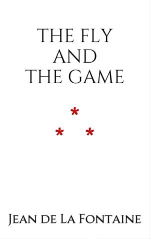 Book cover of THE FLY AND THE GAME