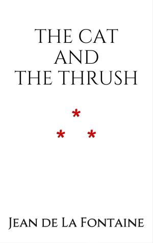 Book cover of THE CAT AND THE THRUSH