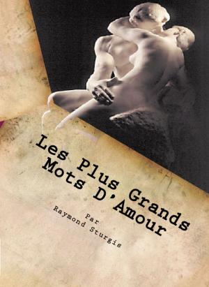 Cover of the book Les Plus Grands Mots D'Amour by Raymoni Love