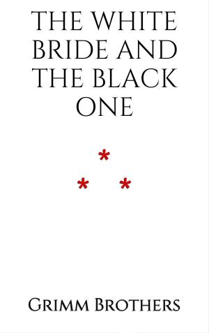 Cover of the book The White Bride and the Black One by Andrew Lang