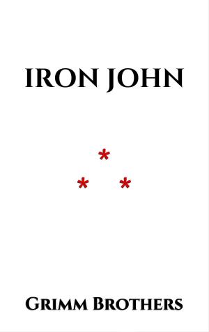 Cover of the book Iron John by Alphonse Momas