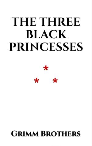 Cover of the book The Three Black Princesses by Guy de Maupassant