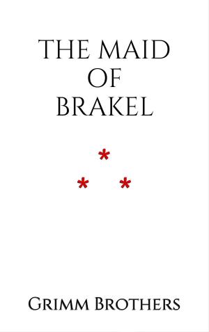 Book cover of The Maid of Brakel