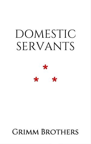 Book cover of Domestic Servants