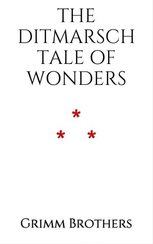Cover of the book The Ditmarsch Tale of Wonders by Chrétien de Troyes