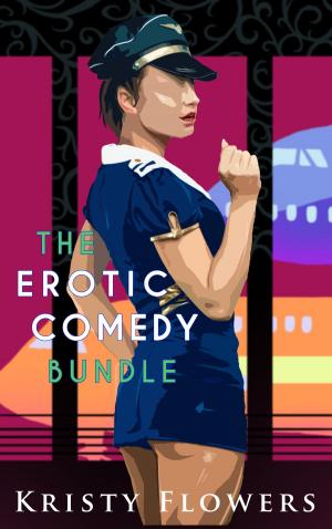bigCover of the book The Erotic Comedy Bundle (Two Flights filled with Hilarious Sex) by 
