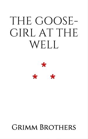 Book cover of The Goose-Girl at the Well