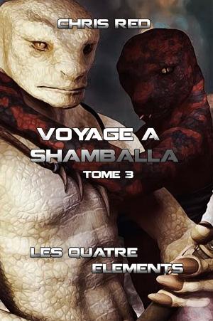 Cover of Voyage à Shamballa