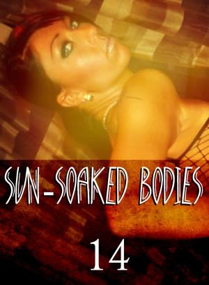 Cover of Sun-Soaked Bodies - An erotic photo book - Volume 14