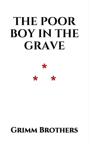 Book cover of The Poor Boy in the Grave
