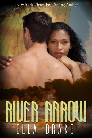 Cover of the book River Arrow by Taylor Longford