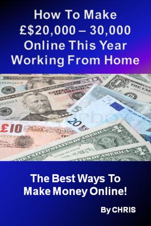 Cover of How To Make £$20,000 – 30,000 Online This Year Working From Home - The Best Ways To Make Money Online