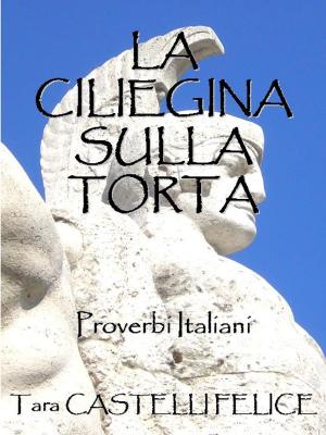 Book cover of Proverbi Italiani