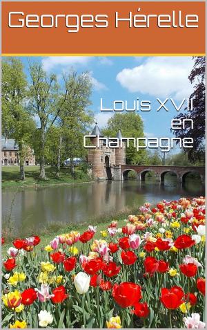 Cover of the book Louis XVII en Champagne by Félix Le Dantec