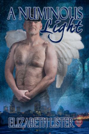 Cover of the book A Numinous Light by J.C. Owens