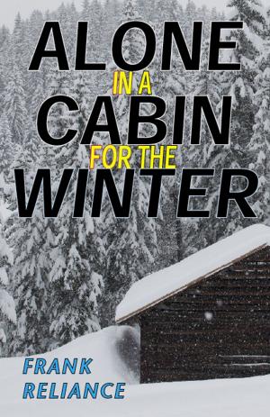 Book cover of Alone in a Cabin for the Winter