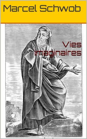 Cover of the book Vies imaginaires by Patrick Bonnaudeau