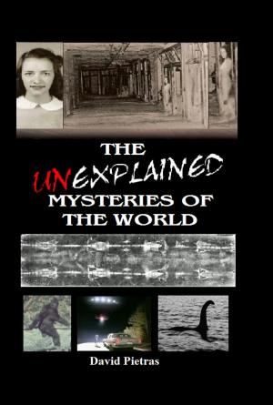 Book cover of The Unexplained Mysteries of The World