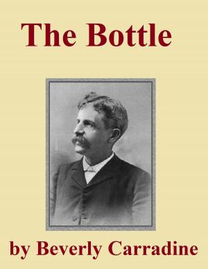 Cover of the book The Bottle by J. B. Finley