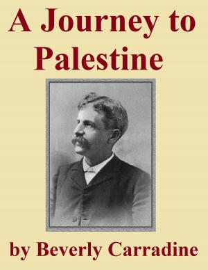 Book cover of A Journey to Palestine