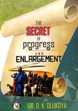 bigCover of the book The Secret of Progress and Enlargement by 