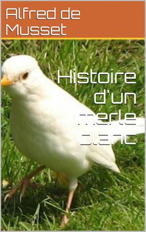 bigCover of the book Histoire d'un merle blanc by 