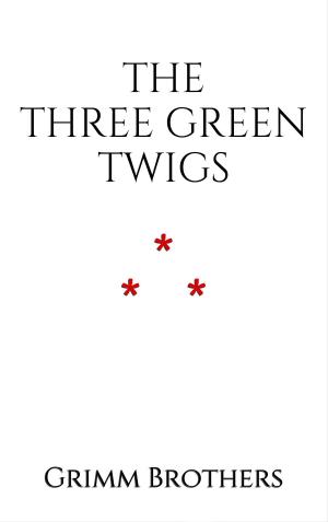 Cover of the book The Three Green Twigs by Andrew Lang