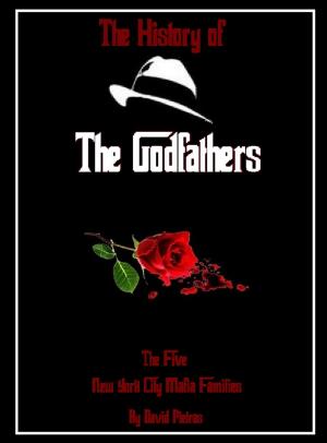 bigCover of the book History of The Godfathers by 