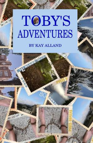 Book cover of Toby's Adventures