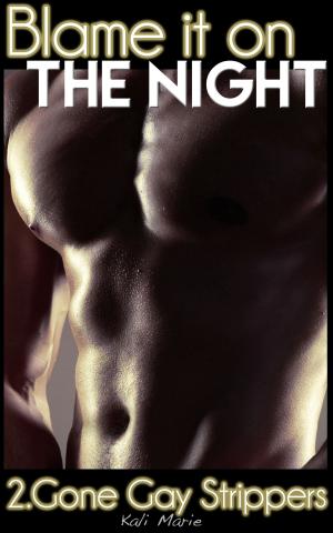 Cover of the book Blame it on the Night | 2. Gone Gay Strippers by Kali Marie